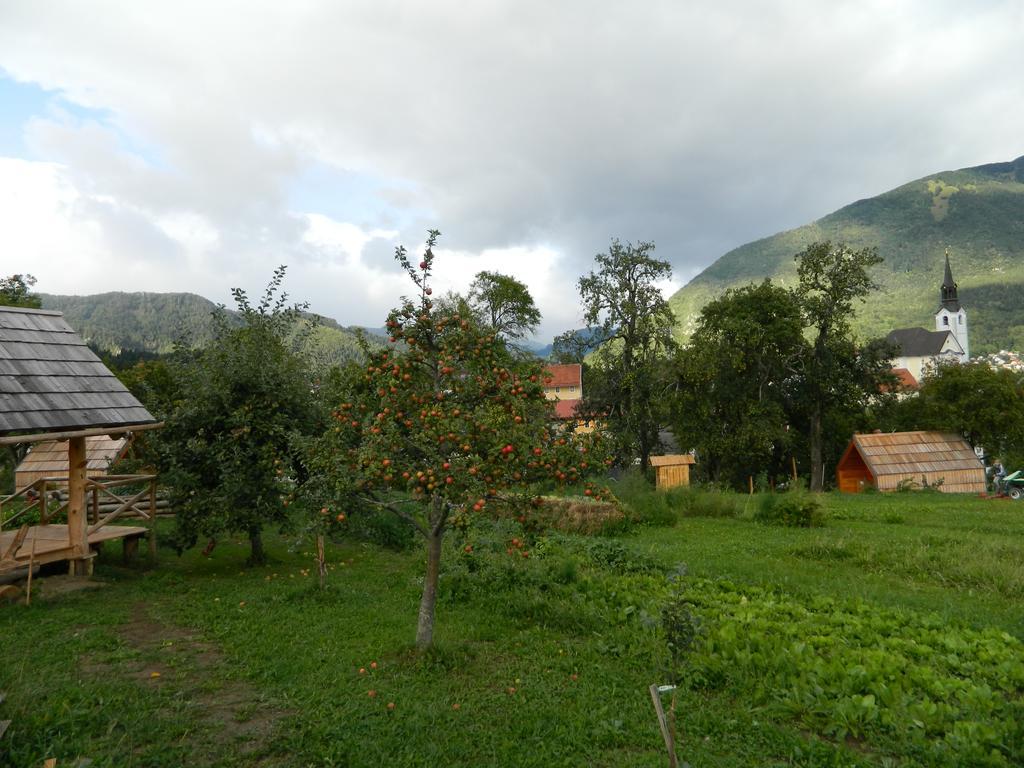 Glamping Organic Farm Slibar Villa Trzic Exterior photo